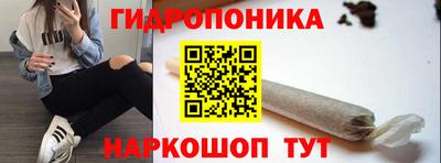 PSILOCYBIN Бийск