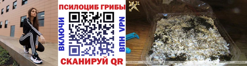 Галлюциногенные грибы прущие грибы  хочу наркоту  Добрянка 